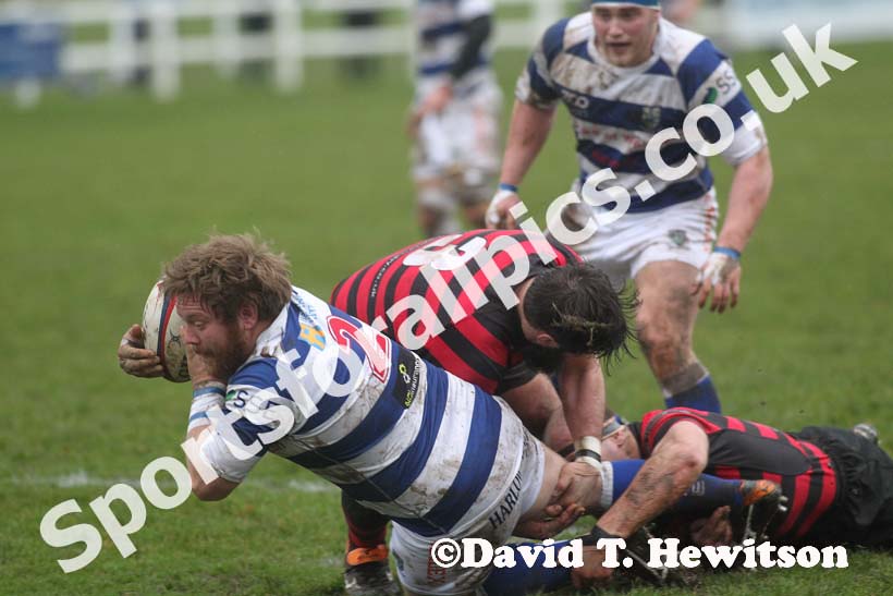 Tynedale v Blackheath. Photo: David T. Hewitson/Sports for All Pics